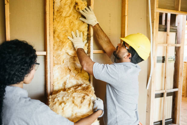 Best Wall Insulation Installation  in Waukon, IA